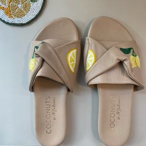 Hand Painted Coconuts by Matisse Slides